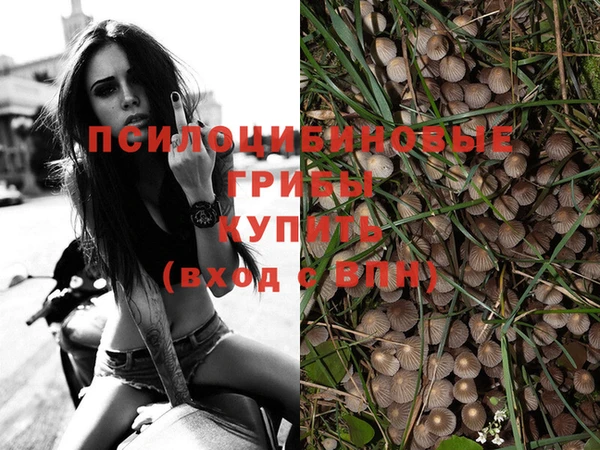 Альфа ПВП Богородицк