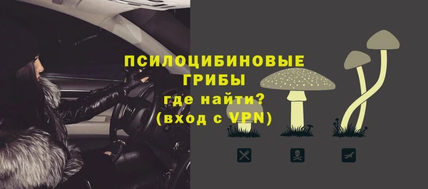 трава Богданович